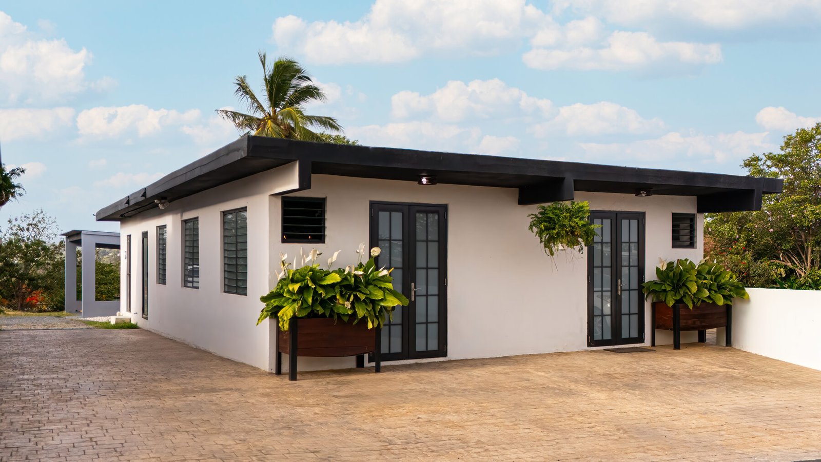 Colmado exterior with double doors and planters