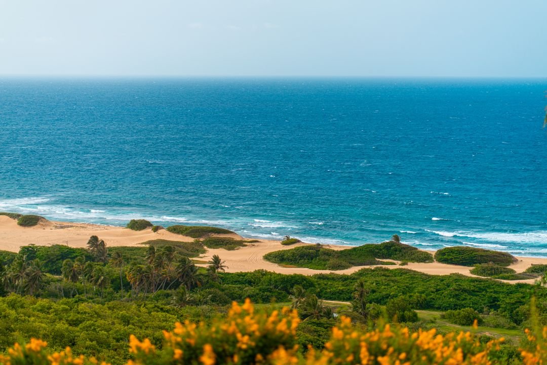 Wide ocean view over Dunas beach from the hillside above Isabela